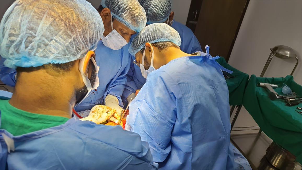 Orthopedic surgical procedure demonstration with precision instruments